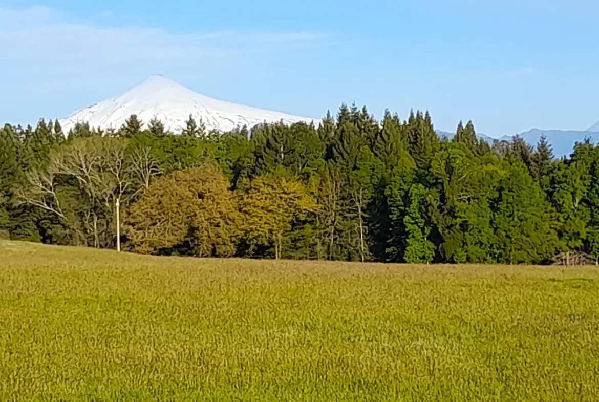 Parcelación Alto los Copihues comuna de Villarrica