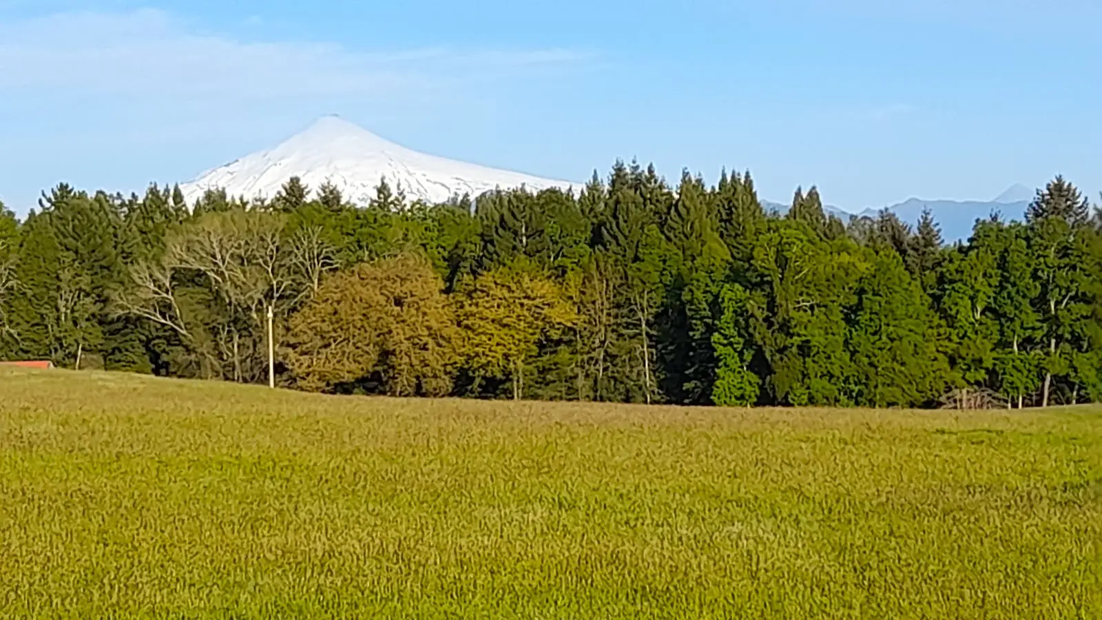 Parcelación Alto los Copihues comuna de Villarrica