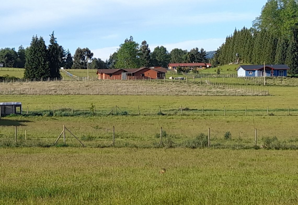 Parcelación Alto los Copihues comuna de Villarrica