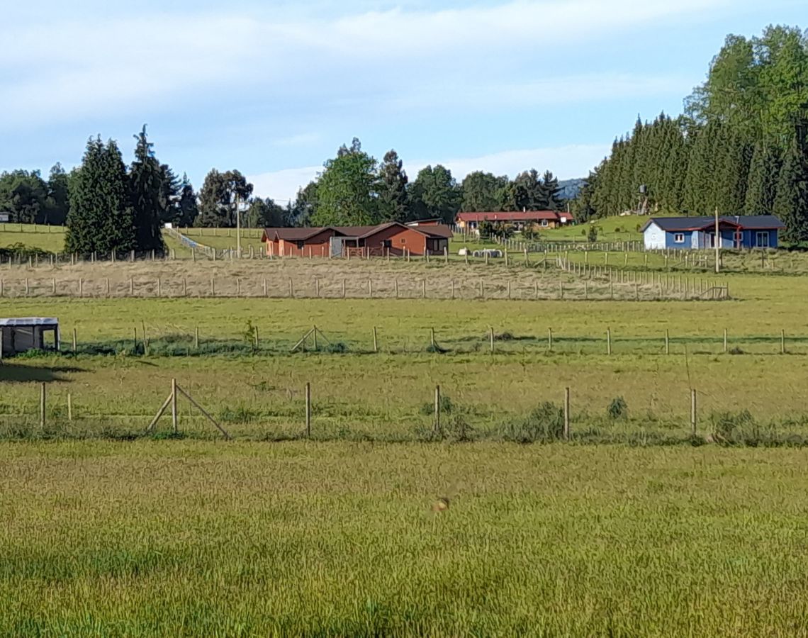Parcelación Alto los Copihues comuna de Villarrica