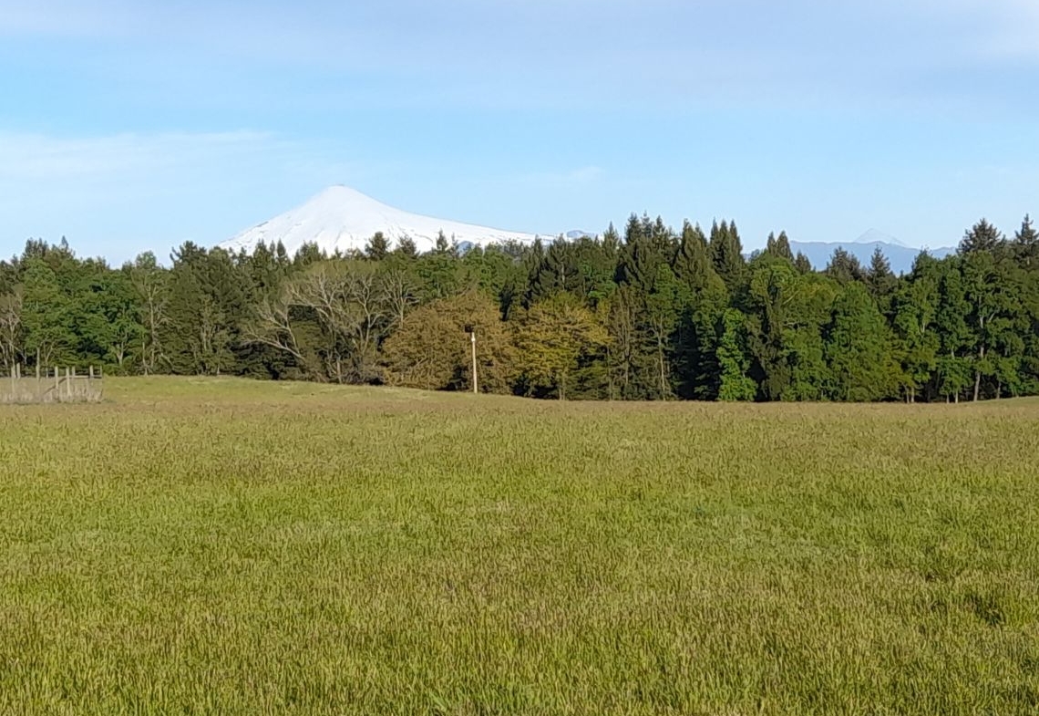 Parcelación Alto los Copihues comuna de Villarrica