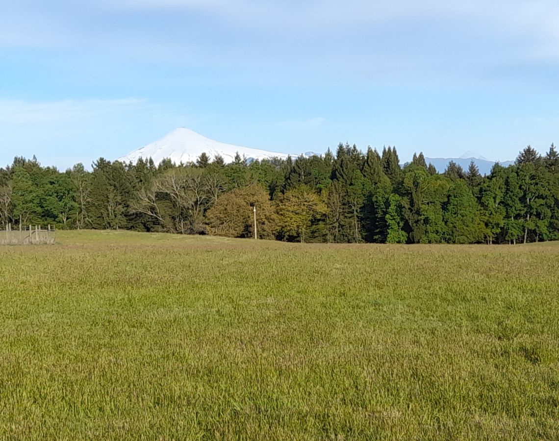 Parcelación Alto los Copihues comuna de Villarrica
