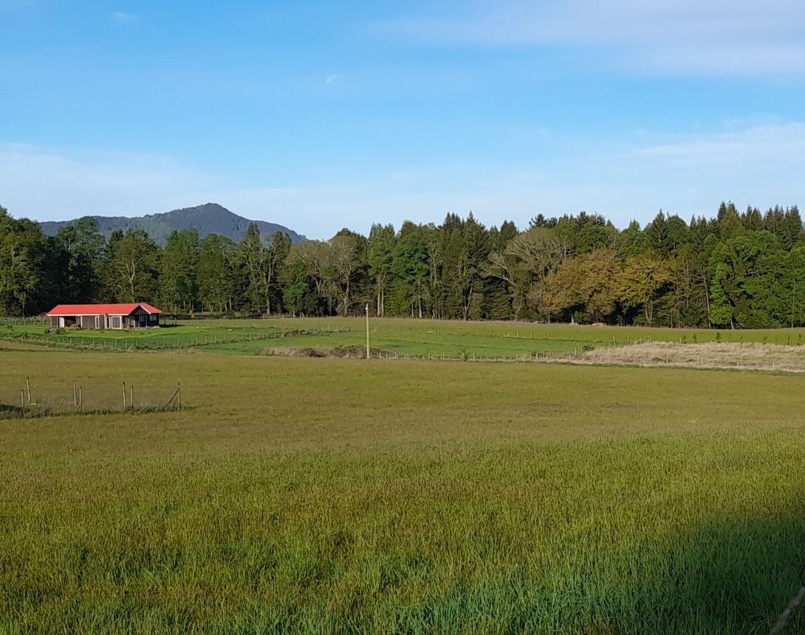 Parcelación Alto los Copihues comuna de Villarrica