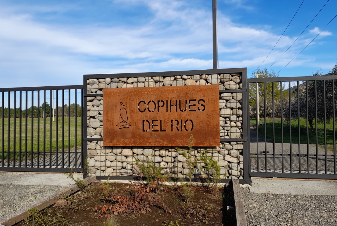 Parcelas en Villarrica  “Copihues del Río “