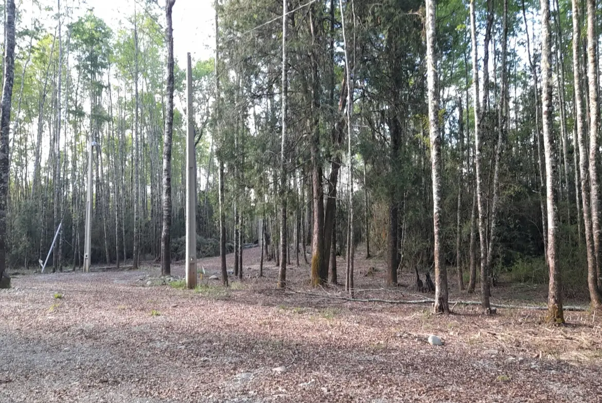 Parcelas en Villarrica  “Copihues del Río “