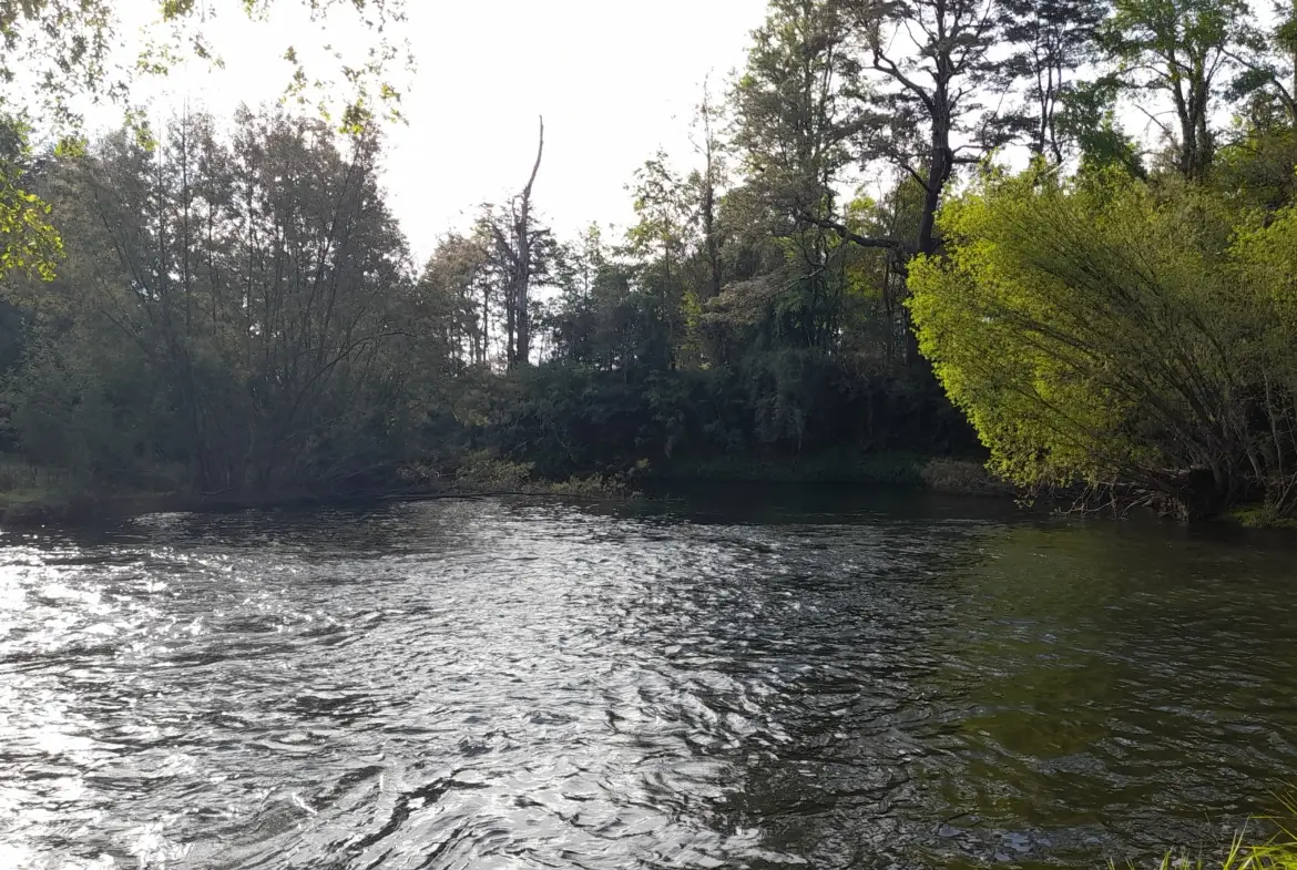 Parcelas en Villarrica  “Copihues del Río “