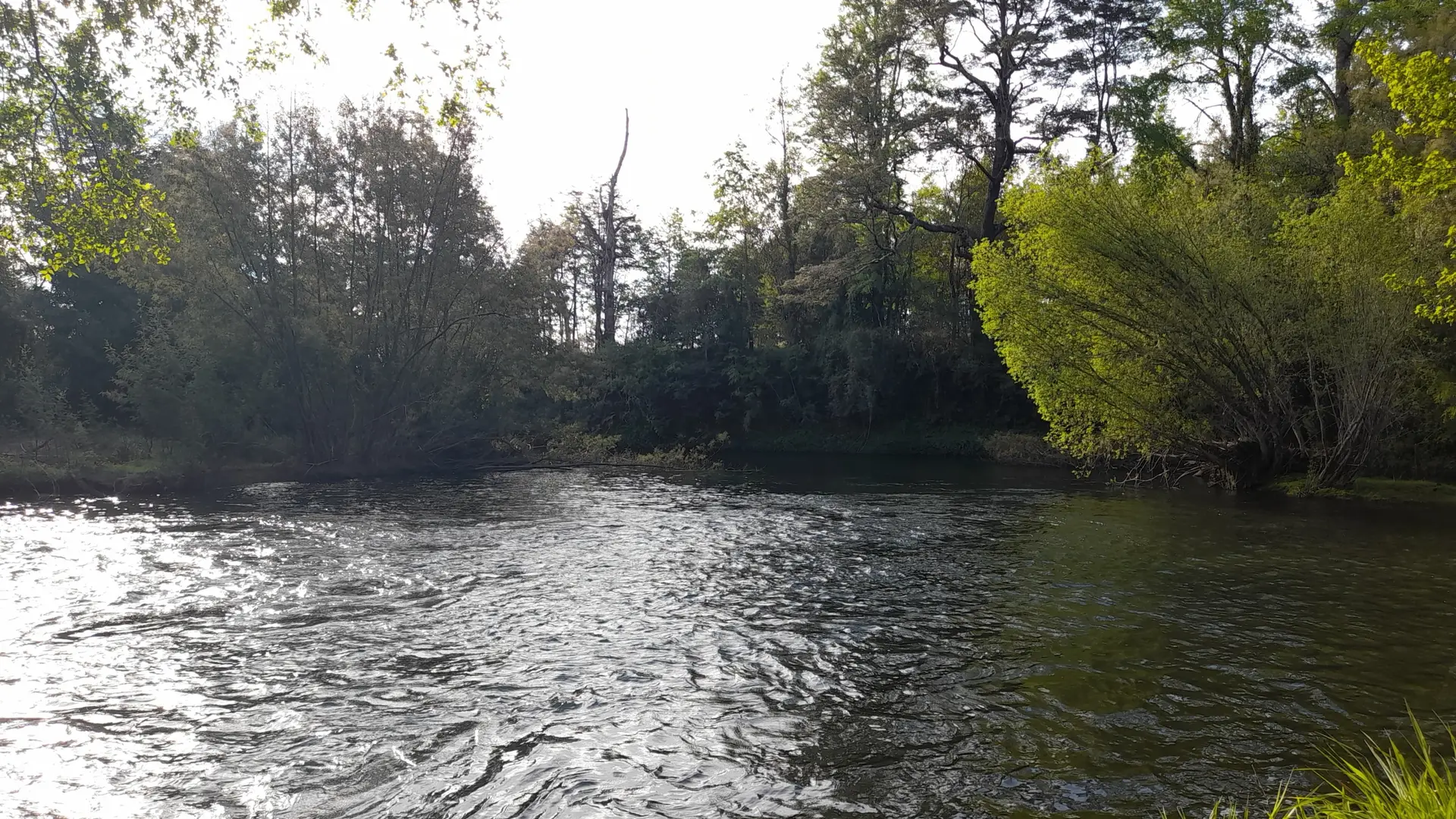 Parcelas en Villarrica  “Copihues del Río “