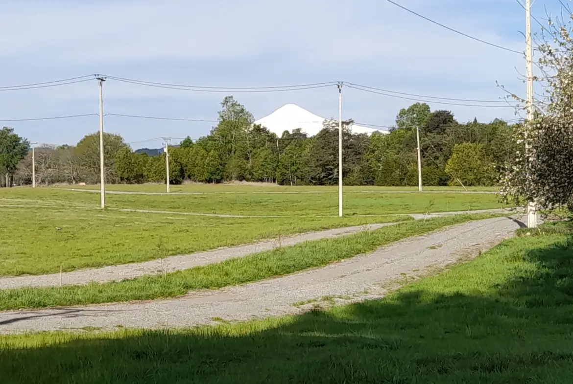 Parcelas en Villarrica  “Copihues del Río “