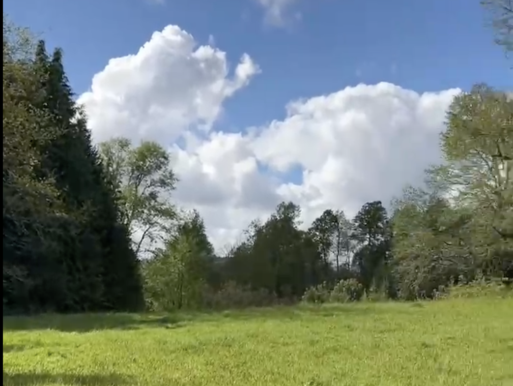 parcela a orilla de camino, roble villarrica