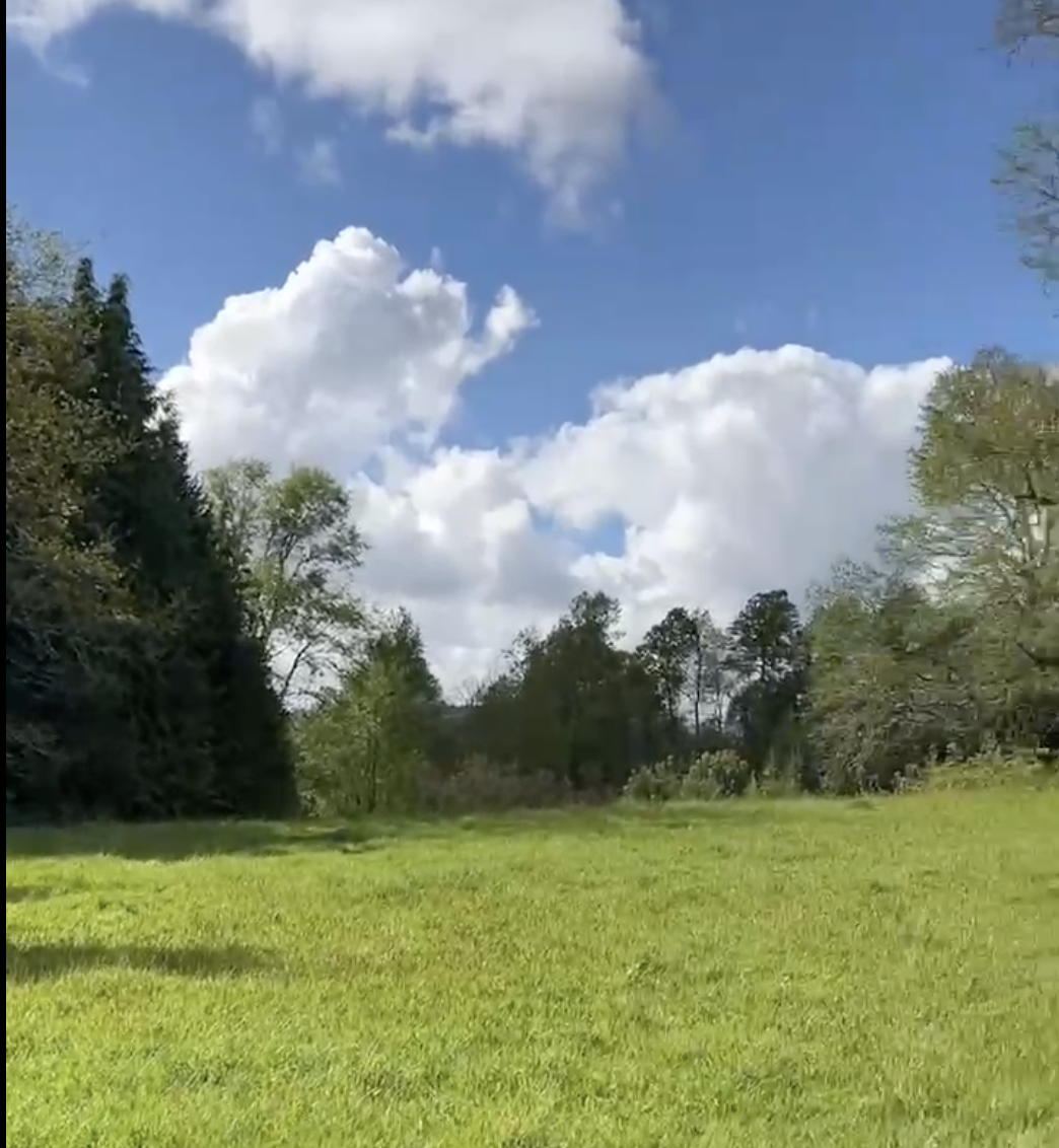 parcela a orilla de camino, roble villarrica
