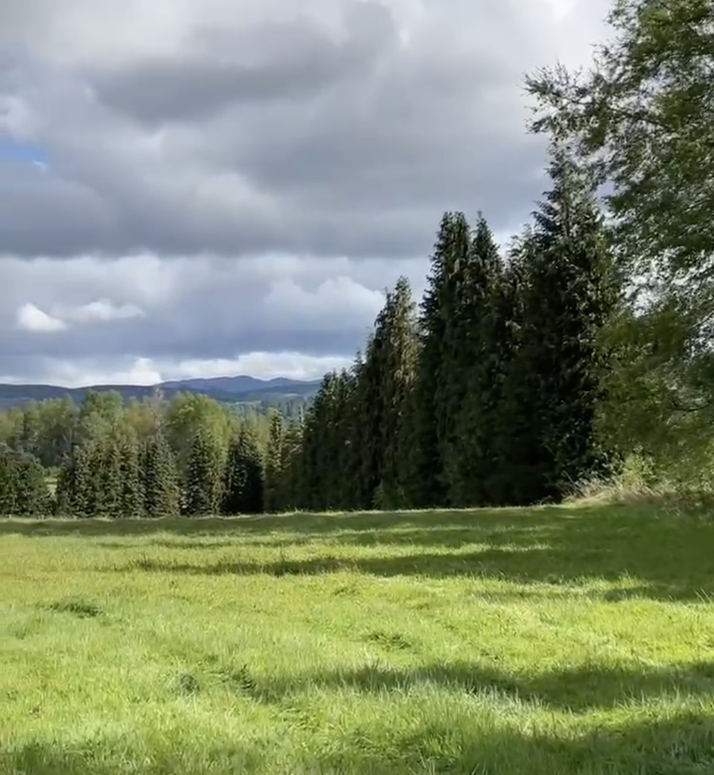 parcela a orilla de camino, roble villarrica