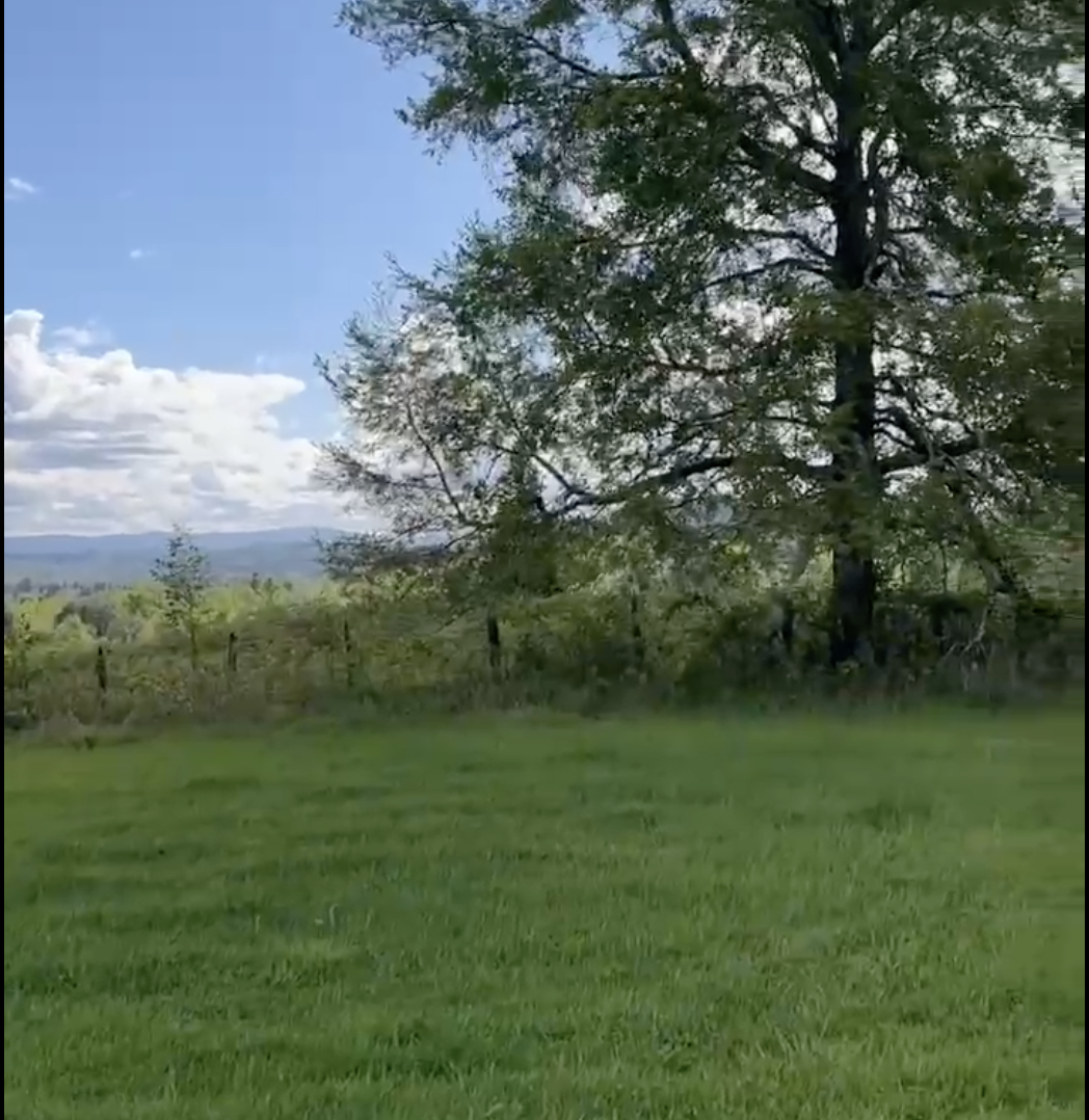 parcela a orilla de camino, roble villarrica