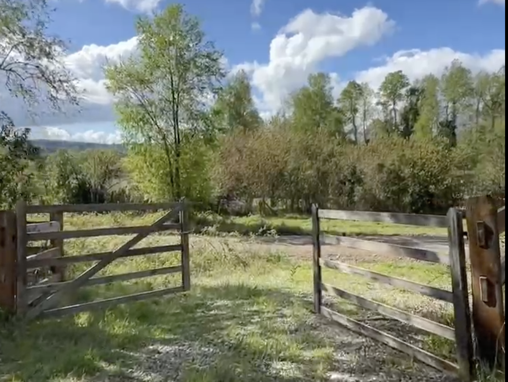 Venta de Parcela en Villarrica  5000mt2 sector los Copihues a orilla de camino