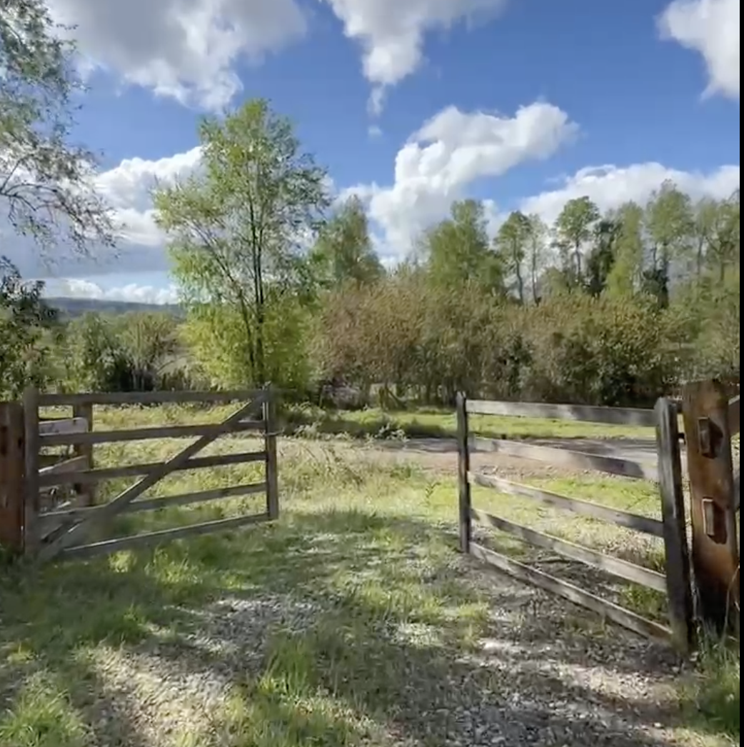 Venta de Parcela en Villarrica  5000mt2 sector los Copihues a orilla de camino