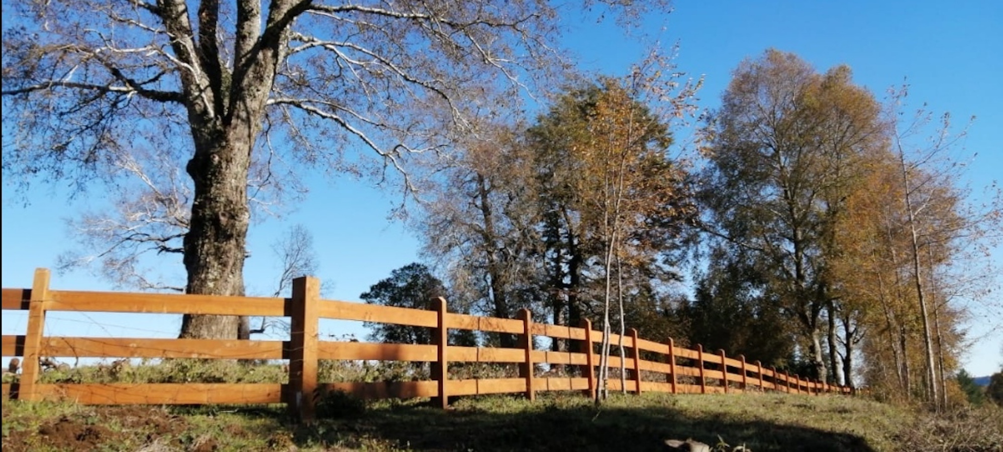 Venta de Parcela en Villarrica  5000mt2 sector los Copihues a orilla de camino