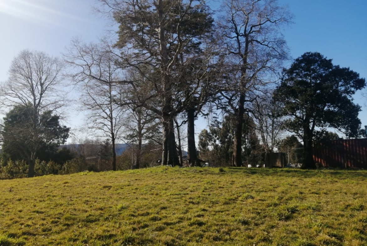 Venta de Parcela en Villarrica  5000mt2 sector los Copihues a orilla de camino