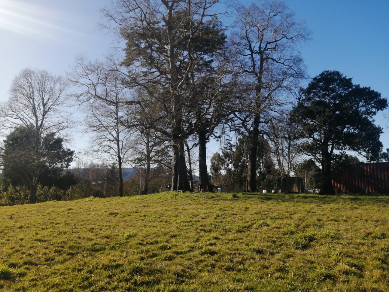 Venta de Parcela en Villarrica  5000mt2 sector los Copihues a orilla de camino