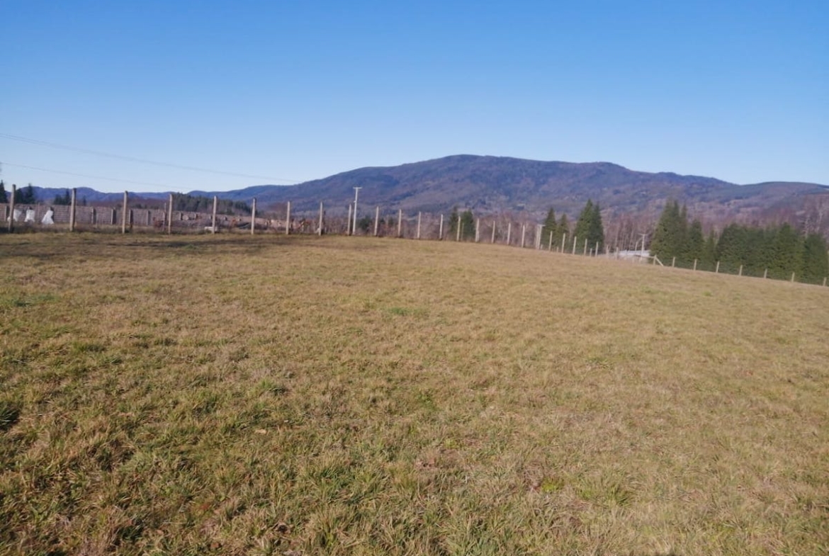 Venta de Parcela en Villarrica  5000mt2 sector los Copihues a orilla de camino