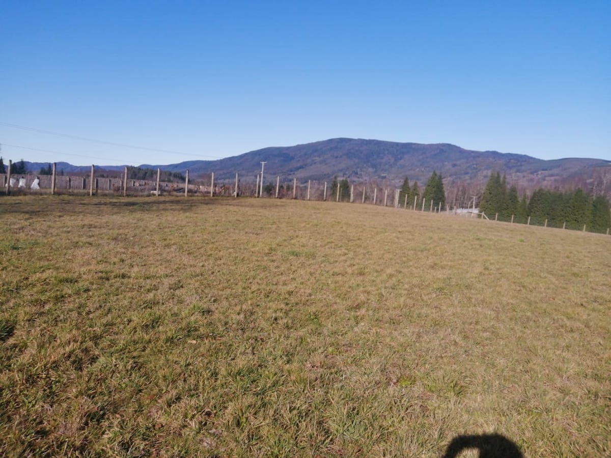 Venta de Parcela en Villarrica  5000mt2 sector los Copihues a orilla de camino