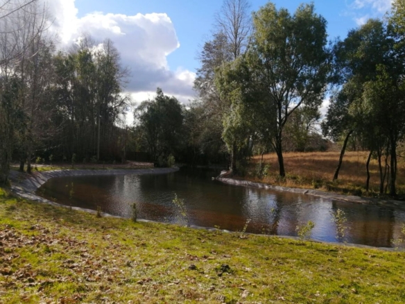 Parque Nativo a 30 min de Villarrica y a 20 min de Loncoche