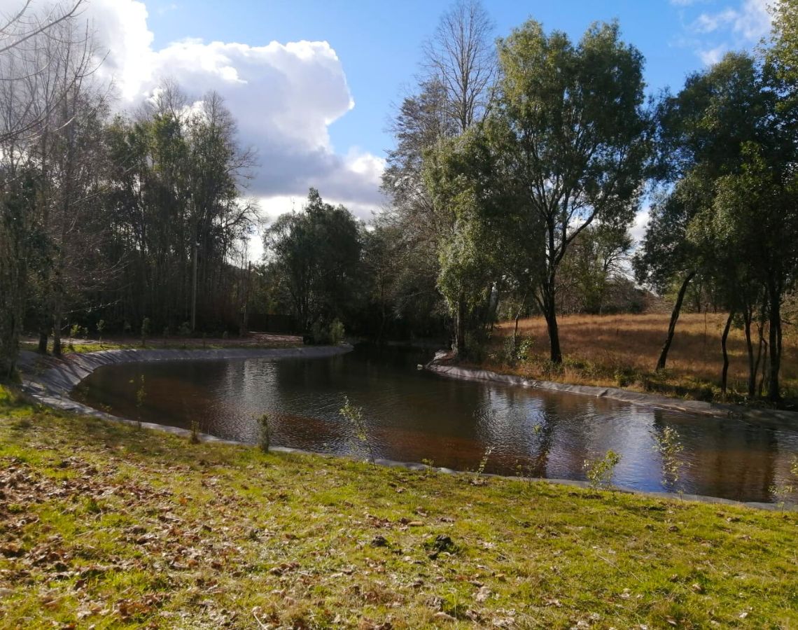 Parque Nativo a 30 min de Villarrica y a 20 min de Loncoche