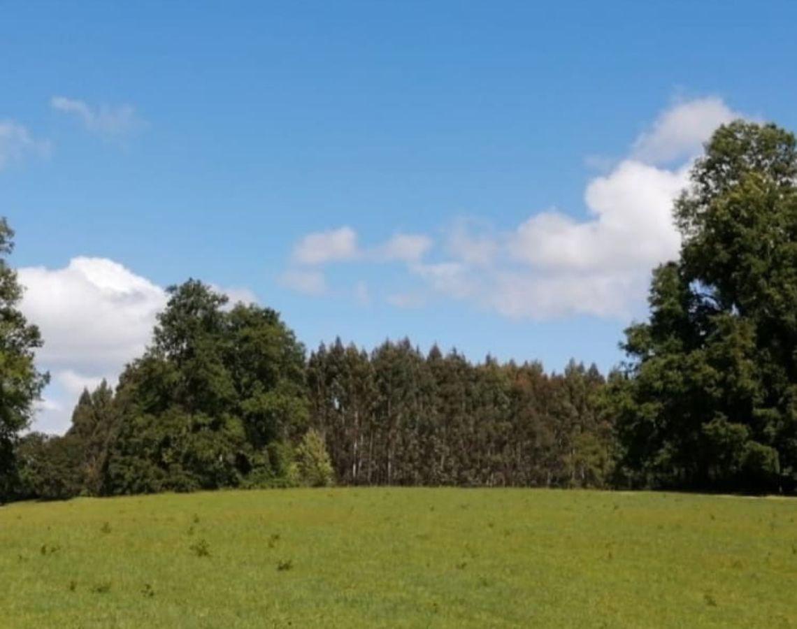 Parque Nativo a 30 min de Villarrica y a 20 min de Loncoche