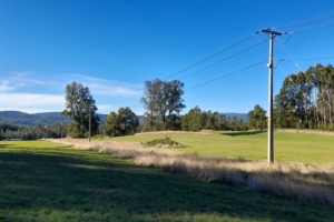Parque nativo propiedades en el sur