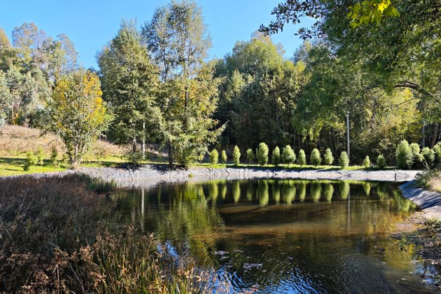 parcelas parque nativo Villarrica
