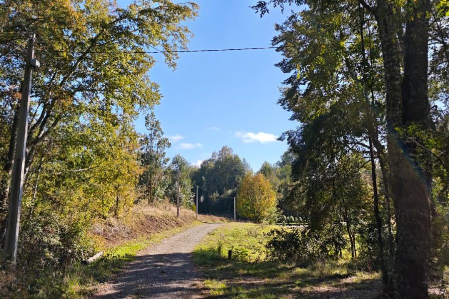 parcelas parque nativo Villarrica