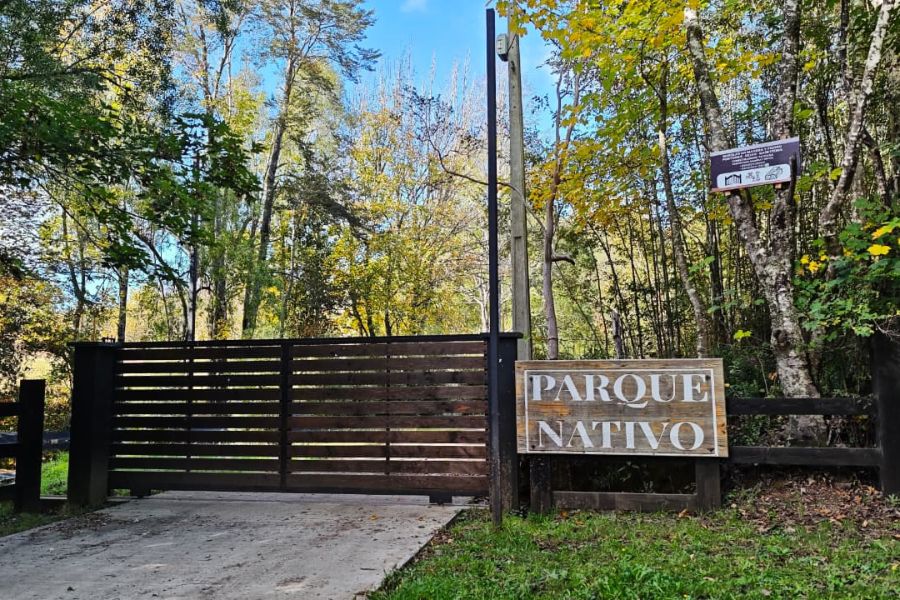parcelas parque nativo Villarrica