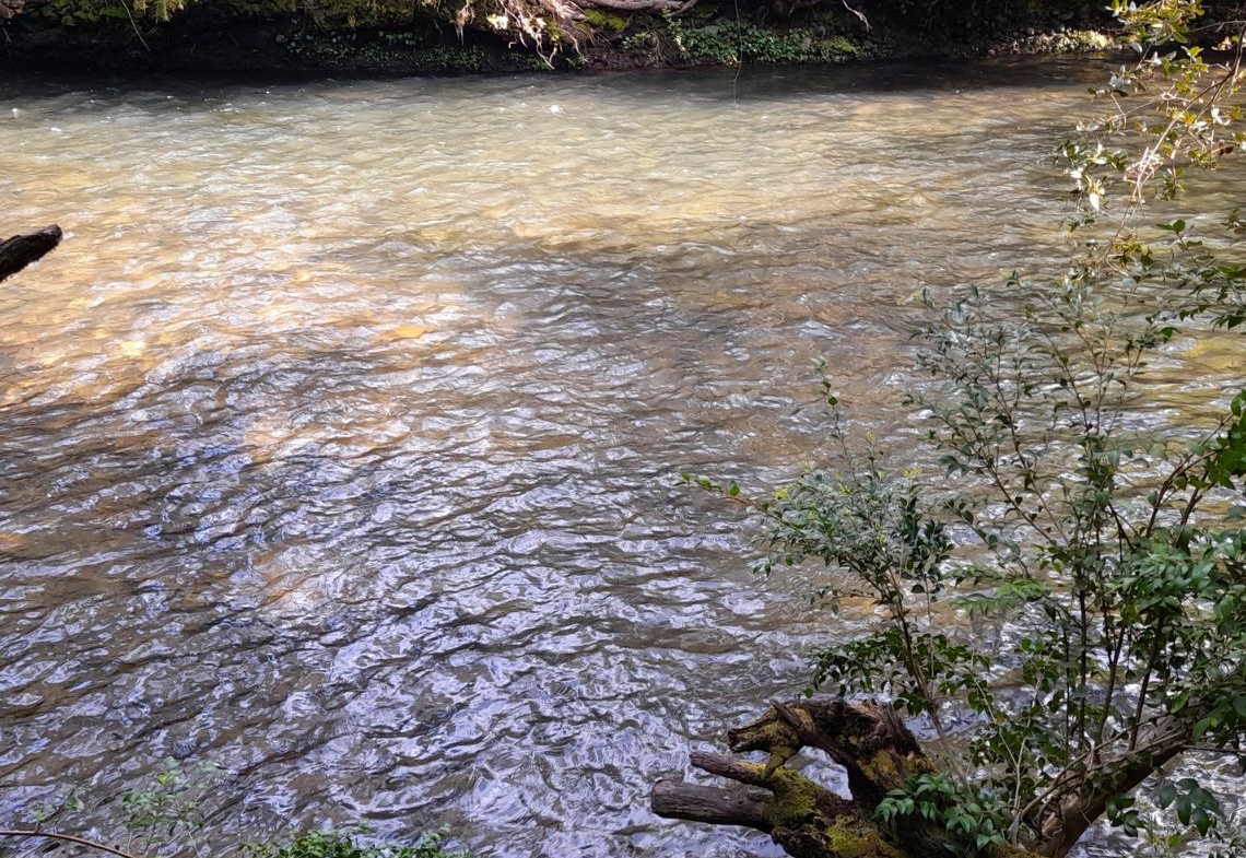 Parcela con orilla de río sector Copihuelpi