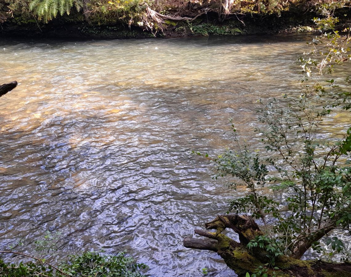 Parcela con orilla de río sector Copihuelpi