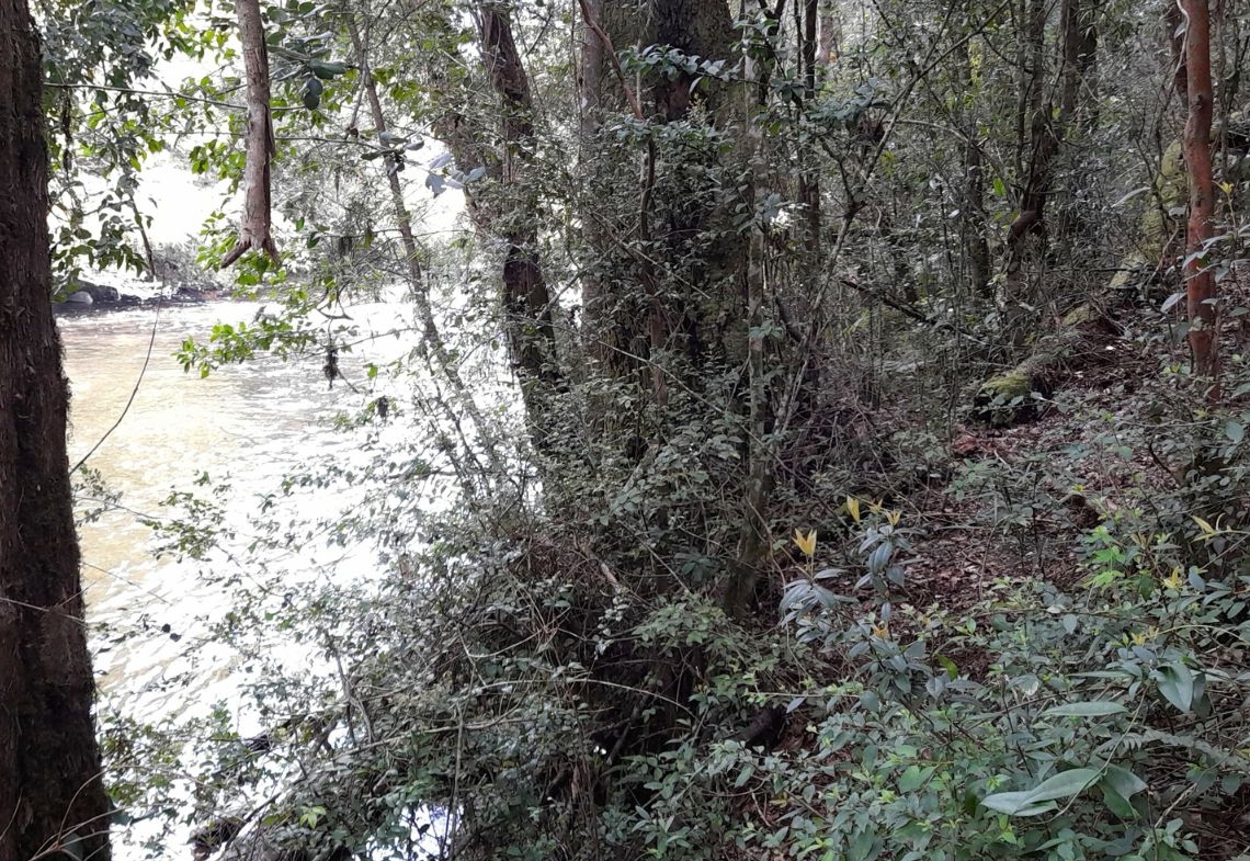 Parcela con orilla de río sector Copihuelpi