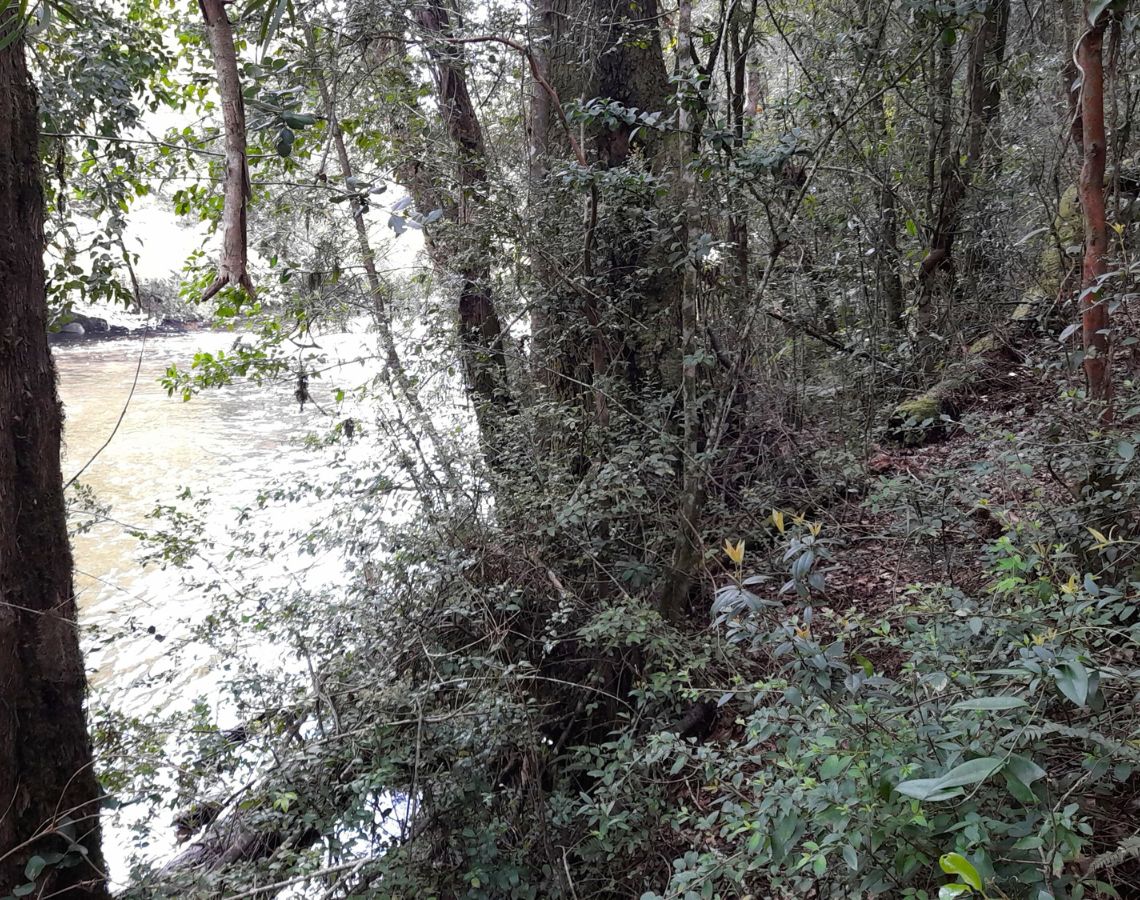 Parcela con orilla de río sector Copihuelpi