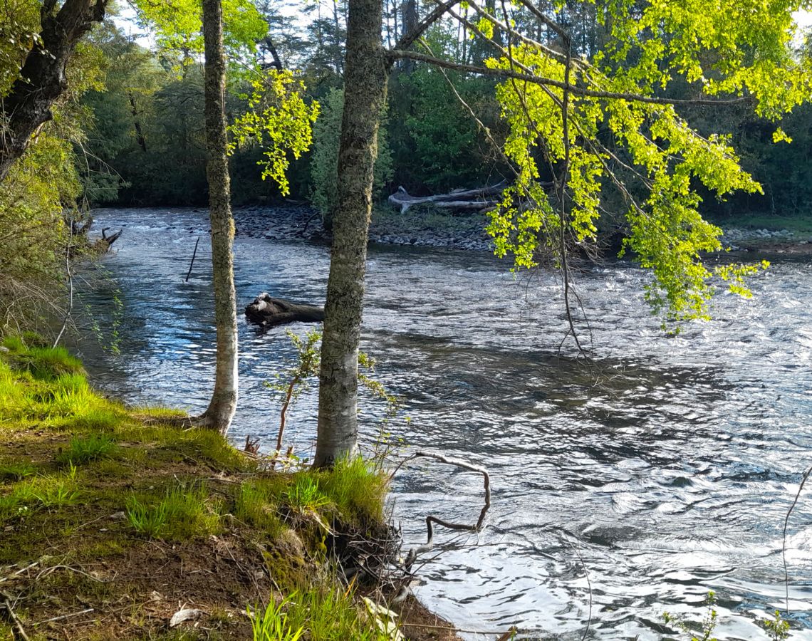 Parcela con orilla de río sector Copihuelpi