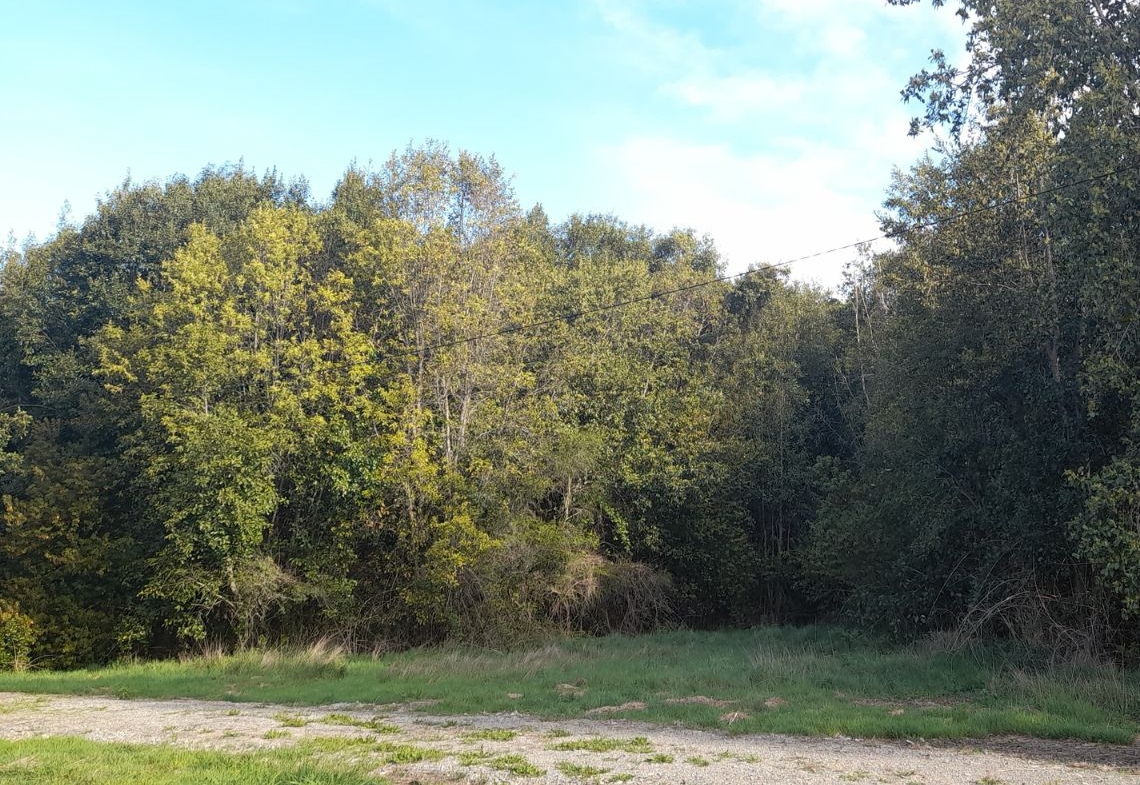 Parcela con orilla de río sector Copihuelpi
