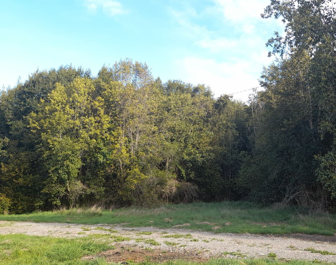Parcela con orilla de río sector Copihuelpi