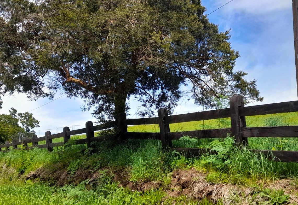 Parcela Bello Horizonte – Villarrica