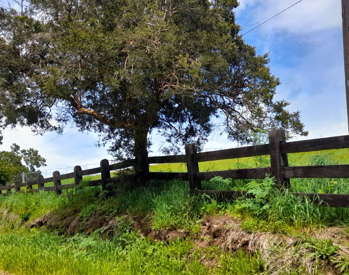 Parcela Bello Horizonte – Villarrica