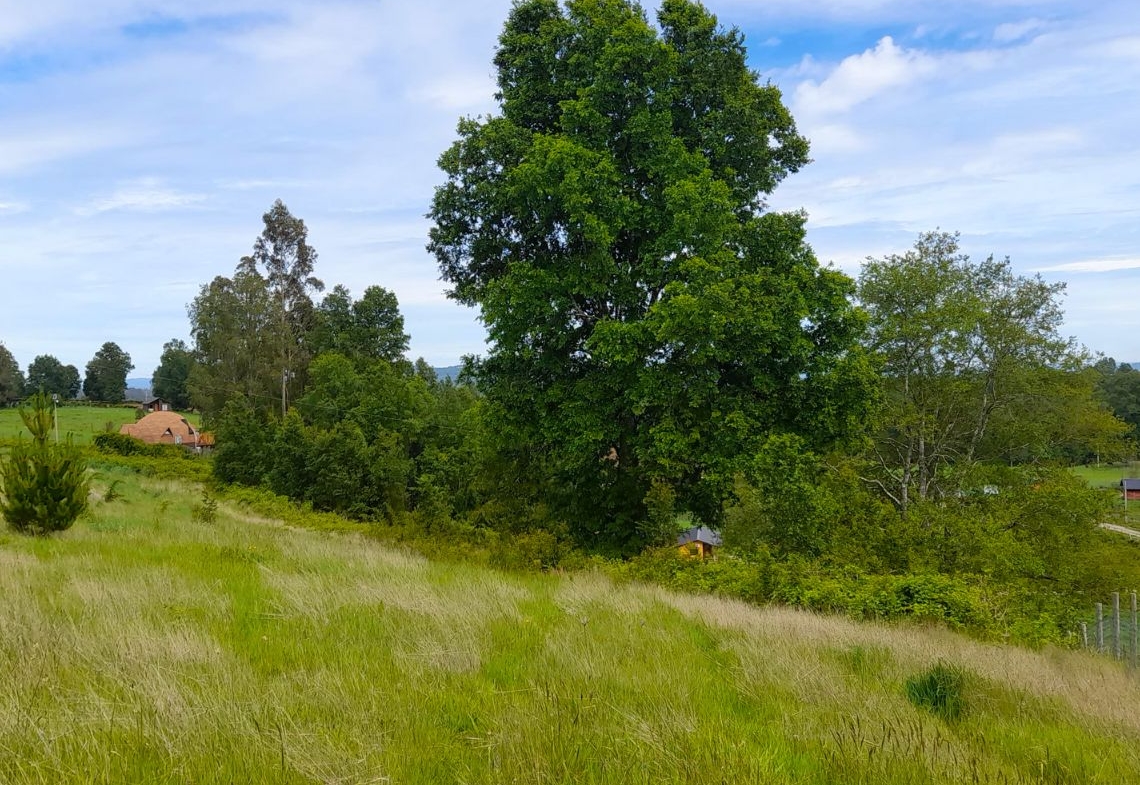 Parcela Bello Horizonte – Villarrica