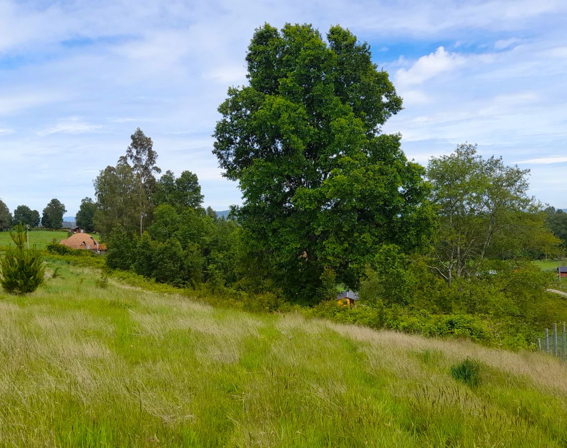 Parcela Bello Horizonte – Villarrica