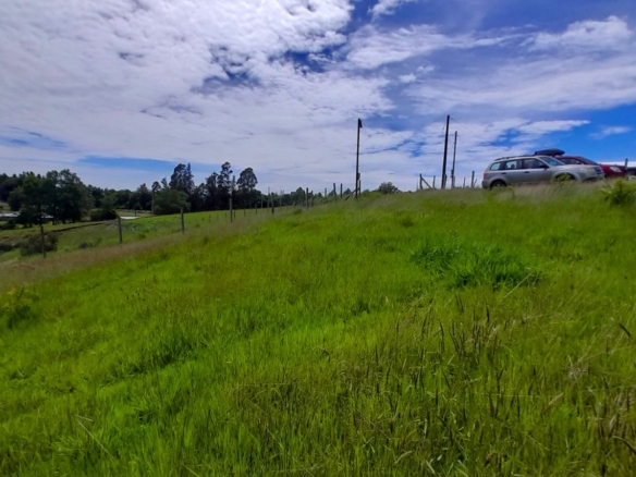 Parcela Bello Horizonte – Villarrica