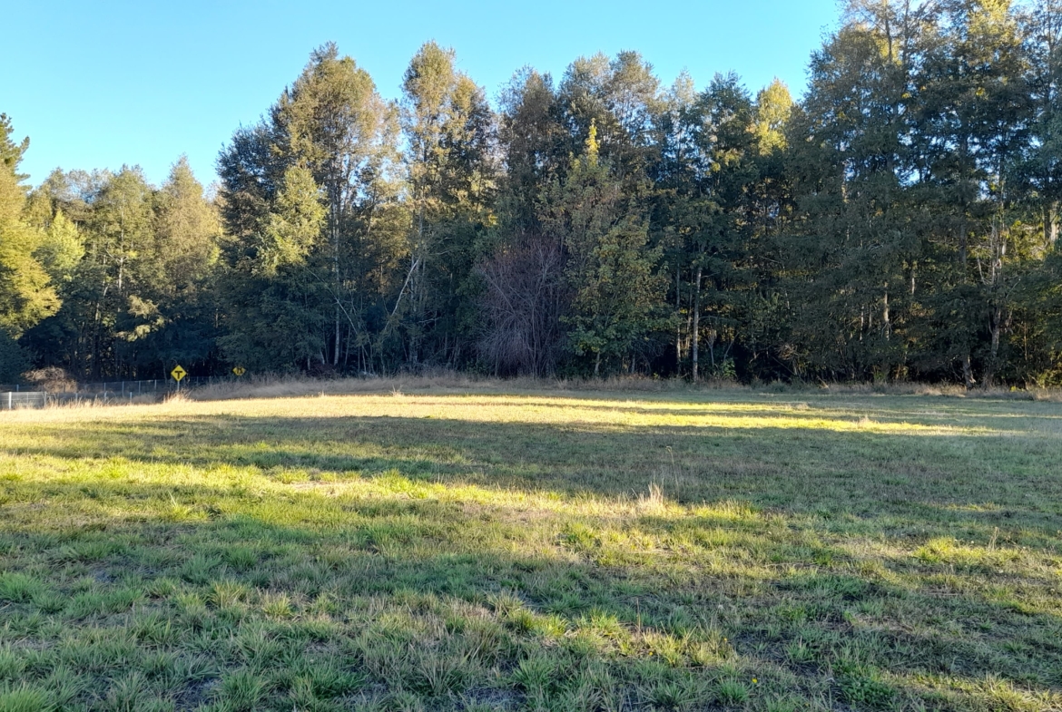 Parcela Borde Río , sector Copihuelpi Villarrica