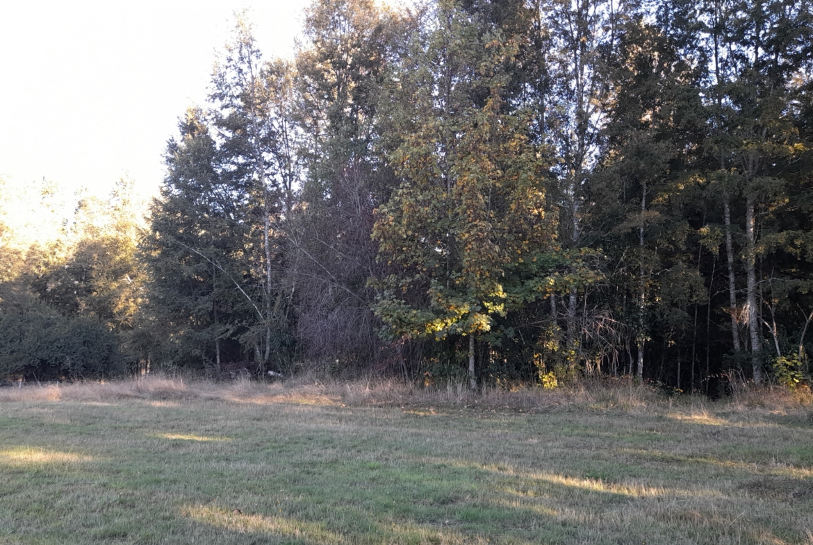 Parcela Borde Río , sector Copihuelpi Villarrica