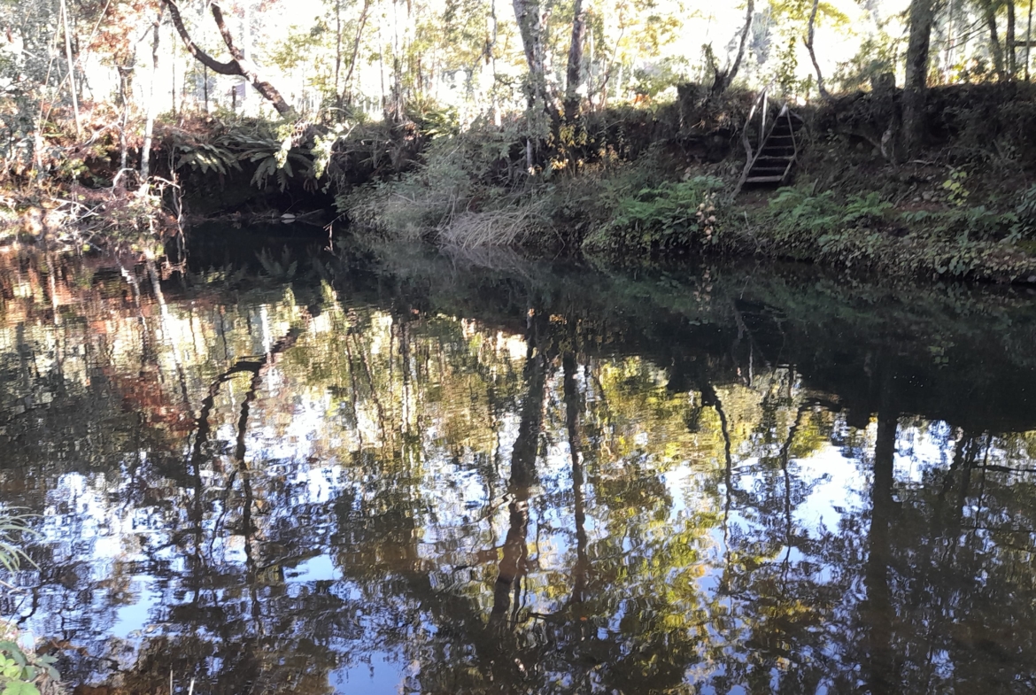 Parcela Borde Río , sector Copihuelpi Villarrica