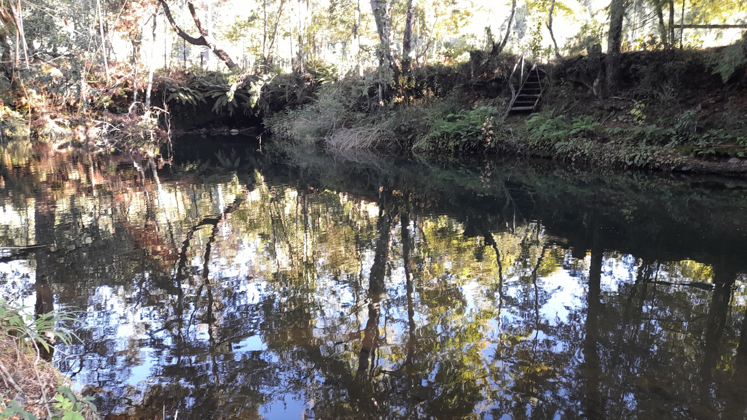 Parcela Borde Río , sector Copihuelpi Villarrica