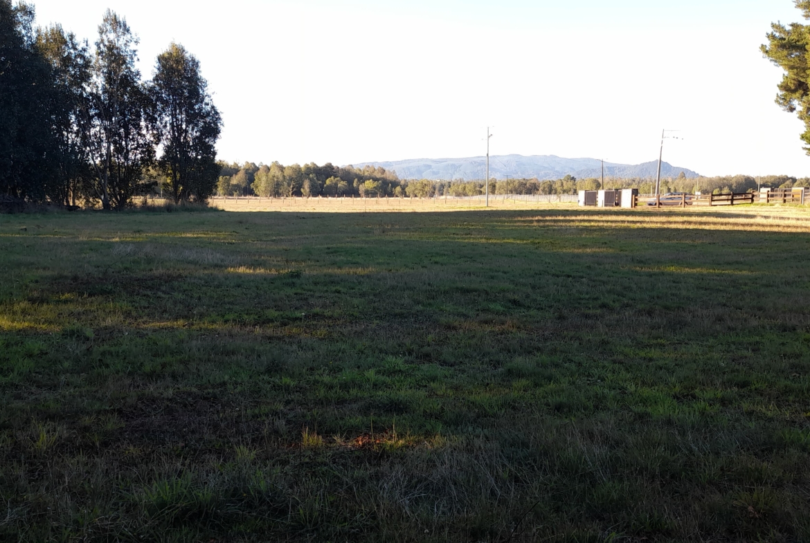 Parcela Borde Río , sector Copihuelpi Villarrica