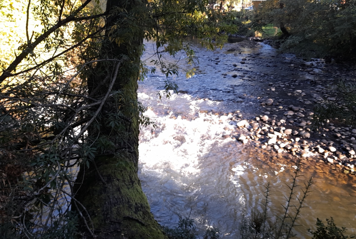 Parcela Borde Río , sector Copihuelpi Villarrica