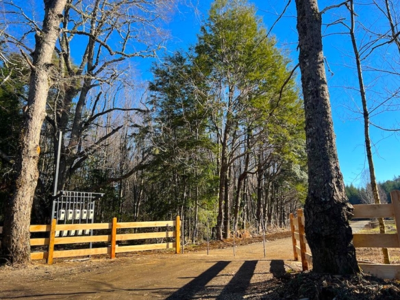 Parcelas en Relún – Venta en Verde a solo 12,5 km de Villarrica