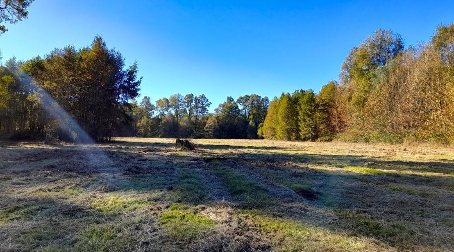 Parcelas en Relún – Venta en Verde a solo 12,5 km de Villarrica